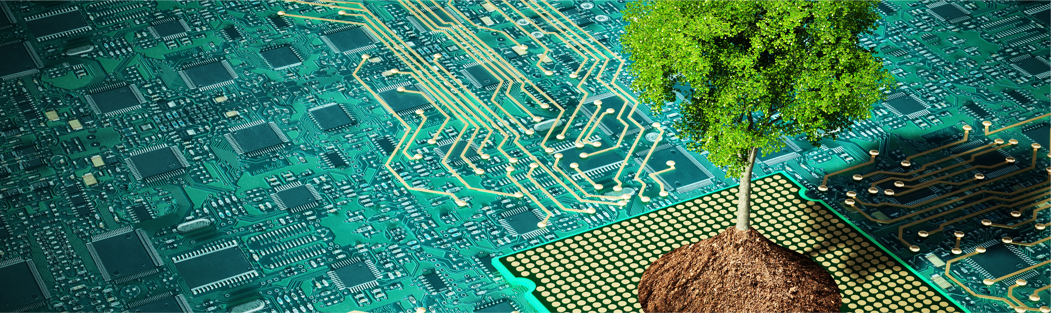 Sustainability through Technology: Best Practices for a Greener Future